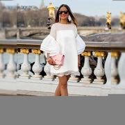 Sweet mesh dress for women – Elegant Feminine Style