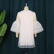 Sweet mesh dress for women – Elegant Feminine Style