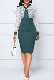 Elegant Lace Office Dress