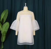 Sweet mesh dress for women – Elegant Feminine Style